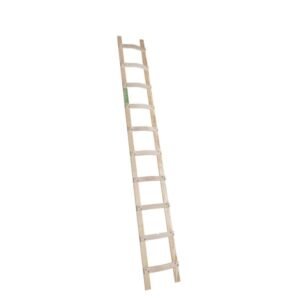 Dakladder Eldik